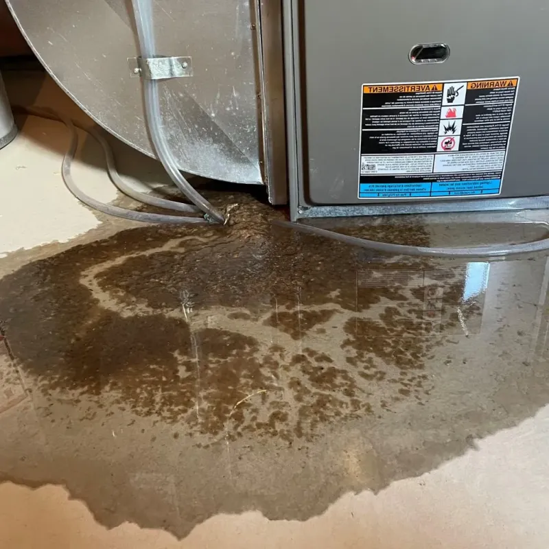 Pipe Burst and Leak Restoration in North Creek, WA